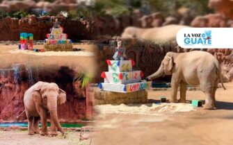 Feliz Cumpleaños Trompita: celebra 61 años