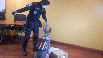 Encuentran metanfetaminas en bodegas