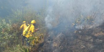 Incendios en el país sobrepasan los 16 mil en la temporada