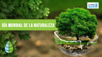 Conoce la importancia del Día Mundial de la Naturaleza