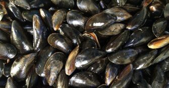 Continúa alerta por marea roja e indican que no se deben comer moluscos