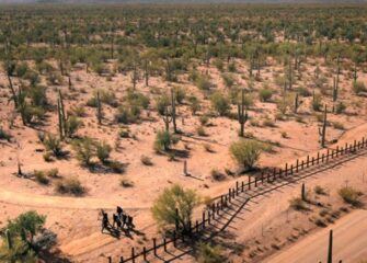 Ola de calor se presenta en ruta de migración irregular