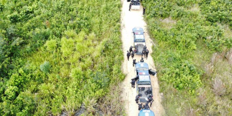 pista clandestina en petén