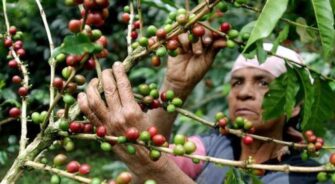 Deuda pública estaría alcanzado un 42 por ciento del PIB