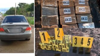 Trece paquetes valorados en más de 175 mil dólares