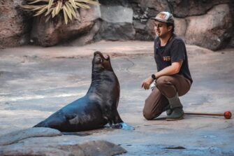 Estos son los requisitos para ser voluntario en el Zoo La Aurora