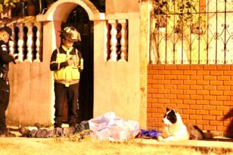 La historia del perro que cuidó de su amo después que sicarios lo asesinaran en Guatemala