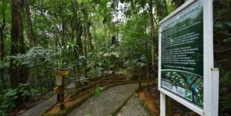 21 de febrero: Día del Biólogo en Guatemala en honor a Mario Dary Rivera