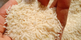 Guatemala recibe donación de 300 toneladas de arroz blanco de la República de China (Taiwán)