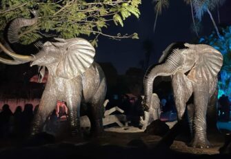 Zoo La Aurora anuncia sus «noches bajo la luna»