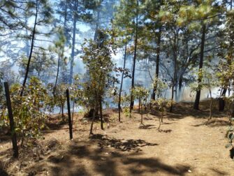 Conred moviliza brigadas para combatir incendios forestales en distintas zonas del país