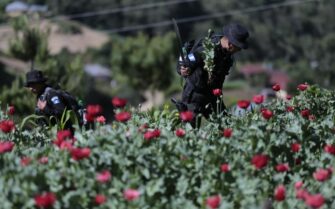 Mingob con más de Q1.2 millardos en incautaciones al narcotráfico