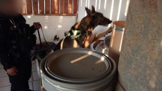 Fuerzas de seguridad realizan 11 allanamientos tras investigación a banda dedicada a robos en residencias