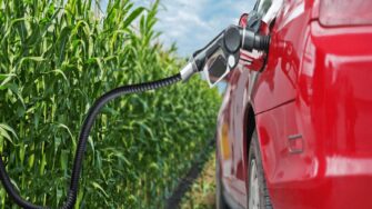 Cambios fundamentales en la gasolina guatemalteca en 2024