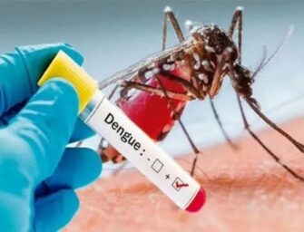 Guatemala declara emergencia sanitaria por epidemia de dengue