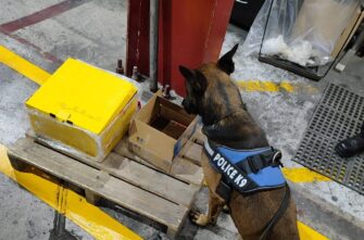 PNC encuentra droga oculta en resina epóxica y carritos de juguete