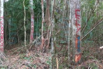 Intentan invadir área arqueológica