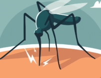 Casos de dengue caen 43% en Guatemala durante 2026