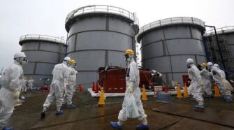 Alerta en Japón por la búsqueda del «gato radioactivo» tras contacto con sustancia química peligrosa