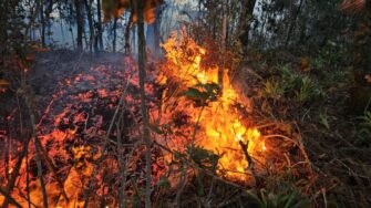 73 incendios activos desafían recursos nacionales de emergencia en Guatemala