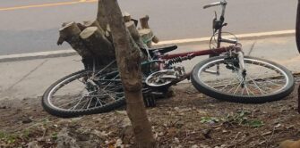 Guardia de seguridad privada pierde la vida atropellado mientras regresaba de recoger leña