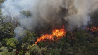 Incendios en Petén Amenazan con Repetir Desastre de 1998