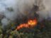 Incendios en Petén Amenazan con Repetir Desastre de 1998