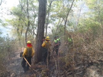 Guatemala: 87 incendios forestales activos, según reporte de Conred