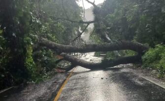 Alerta por ingreso de tres ondas tropicales: En última semana de junio se prevén lluvias