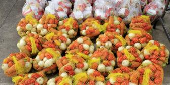 El MAGA descubre una red de corrupción que desviaba alimentos a personas fallecidas y funcionarios