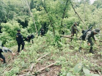 Gobierno erradica más de 372 mil arbustos de hoja de coca en Alta Verapaz