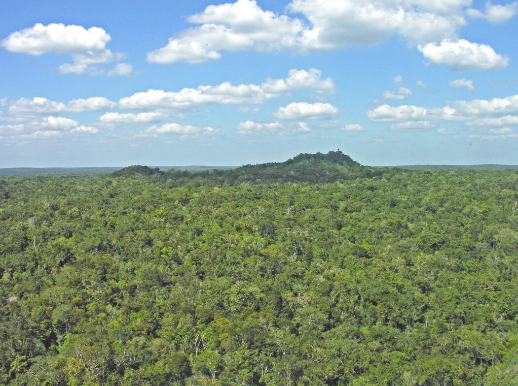 biosfera