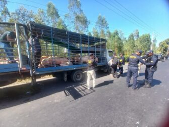 Los detalles de la captura de hombre que conducía camión con porcionos robados