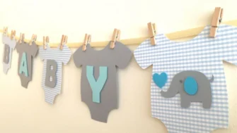 SAAS niega haber financiado evento en Casa Presidencial; diputado Samuel Pérez pide investigación