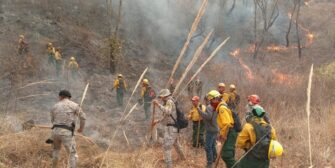 Se han liquidado 325 incendios en la actual temporada