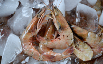 Exportaciones de camarón guatemalteco a Taiwán superan los 14.6 millones