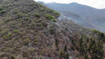 Incendios forestales se intensifican en Guatemala: Conred reporta más de mil 400 casos atendidos