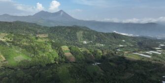 MAGA intensifica vigilancia agrícola por sequía en 181 municipios del país