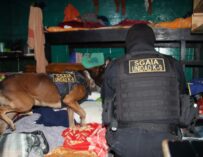 Requisa en Pavón: decomisan routers, drogas y objetos prohibidos