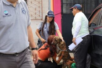 Rescatan a 13 perros en condiciones deplorables en zona 7 de la capital