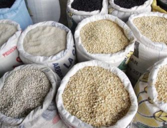 Guatemala amplía contingente de maíz blanco a 90 mil toneladas