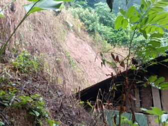 MAGA alerta por saturación de suelos que amenaza cultivos en 21 departamentos