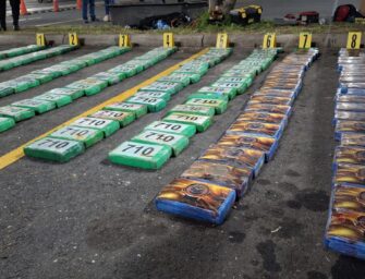 Droga incautada en Escuintla está valorada en más de Q21 millones