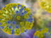 Flu virus. Illustration showing an influenza virus with surface glycoprotein spikes hemagglutinin (HA, trimer) and neuraminidase (NA, tetramer). The glycan components of the hemagglutinin spikes are yellow. Hemagglutinin takes part in attachment of a virus to human respiratory cells and neuraminidase participate in a release of virus from a cell.