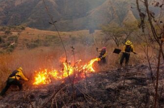 Temporada de incendios 2026 lleva 97 siniestros y más de 300 hectáreas afectadas