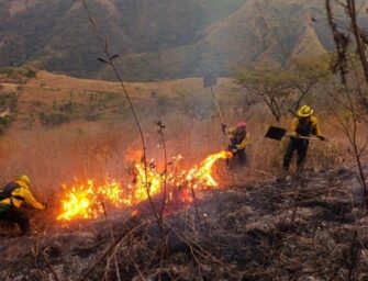 Temporada de incendios 2026 lleva 97 siniestros y más de 300 hectáreas afectadas