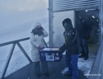 Guatemala deposita 900 semillas en la Bóveda Global de Semillas de Svalbard