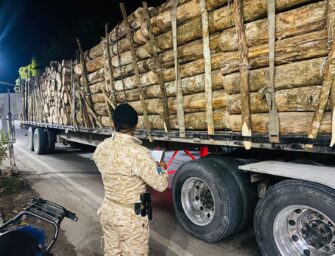 Capturan a hombre en Izabal por transportar madera ilegal