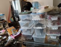 Desarticulan red que vendía drogas en postres: 12 capturados y millonario decomiso