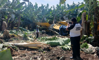 Muere piloto en accidente aéreo durante labores de fumigación en Escuintla